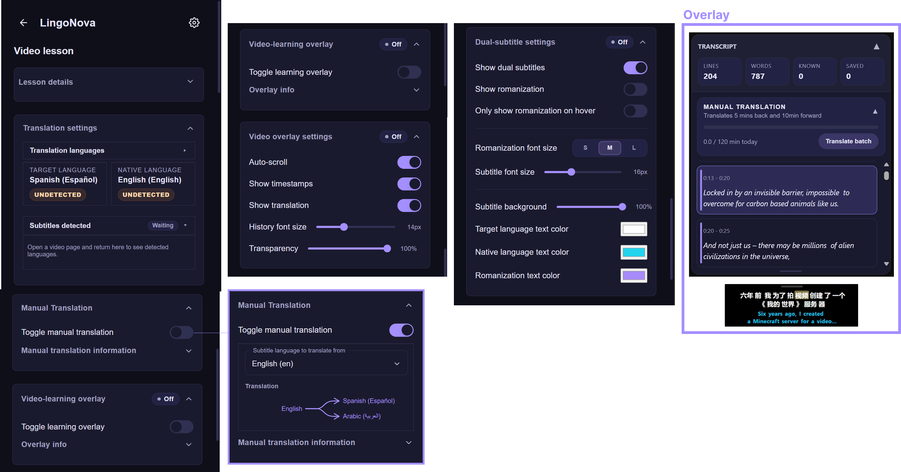 Video lesson subtitle, transcript, manual translation, and customization settings